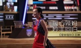 王琳最新爆料新闻报道,揭秘娱乐圈惊人内幕