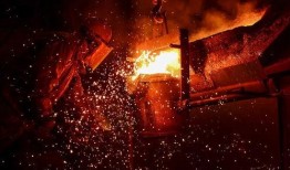 张泽禹最新爆料消息